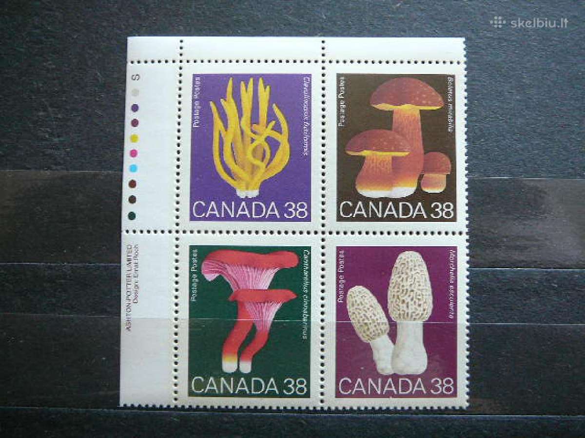Grybai Kanada Mnh cnd1142