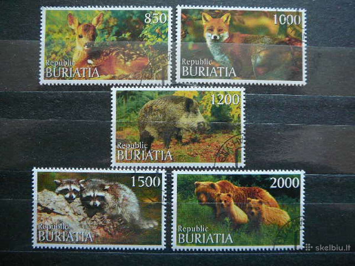 Lapes Meskos Buriatija 2000 antsp. br228