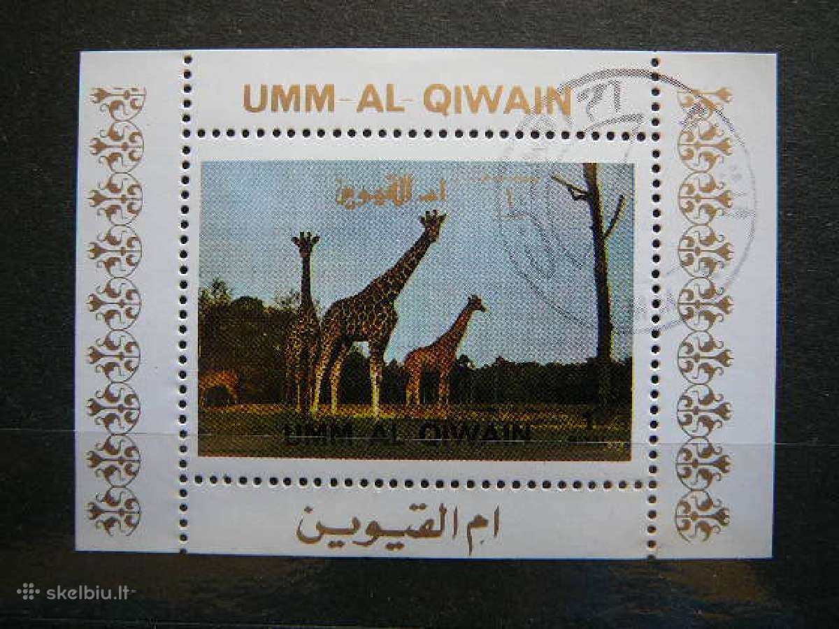 Zirafos Umm AL Qiwain 1972 antsp. umm171