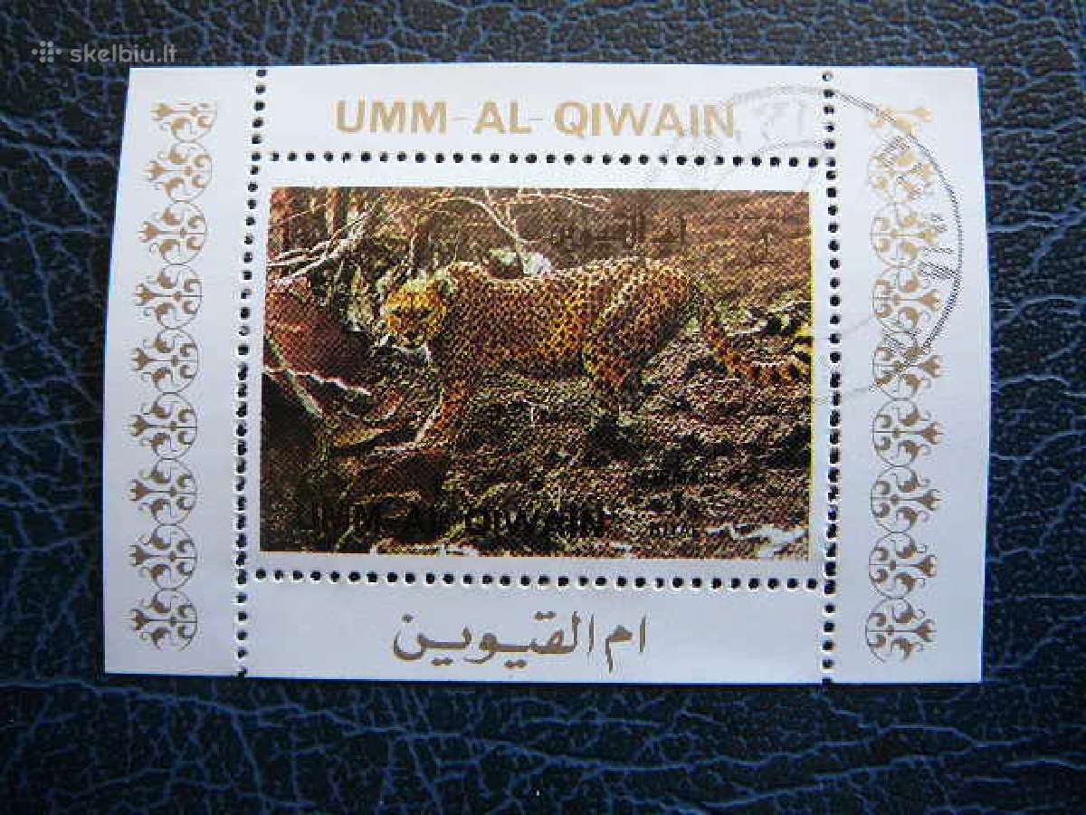 Kates laukines Umm AL Qiwain 1972 antsp. umm179