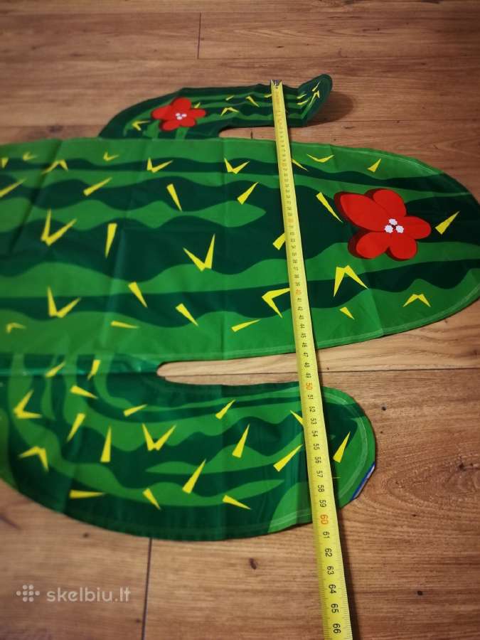 Balionas kaktusas - nuotraukos Nr. 4