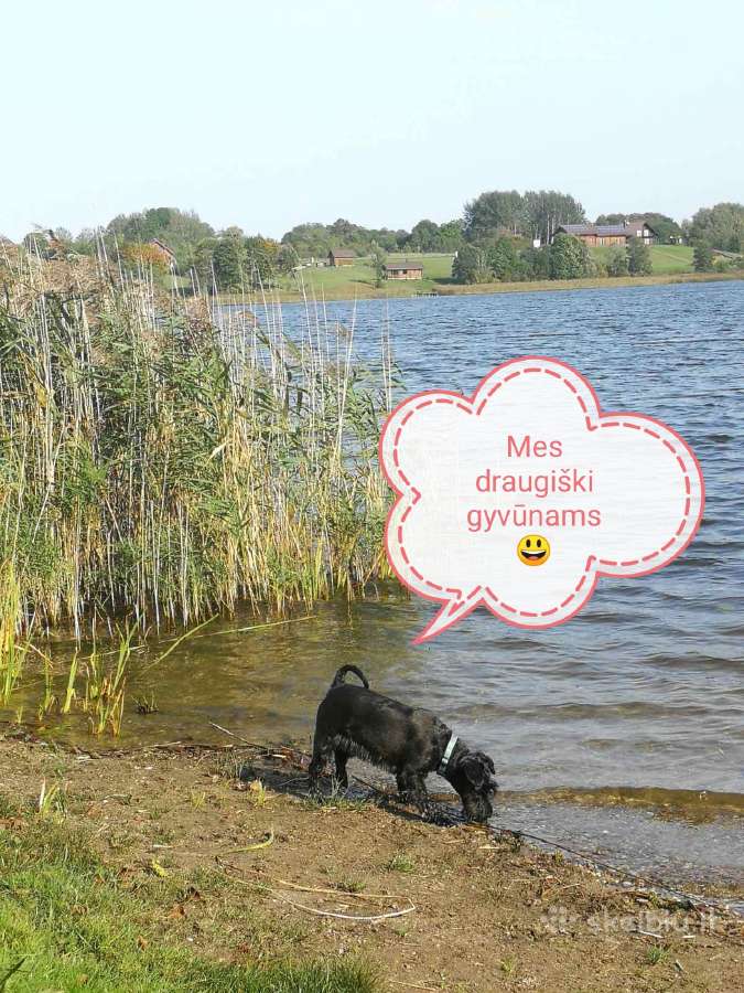 Poilsis prie ežero su palapinėmis - nuotraukos Nr. 18