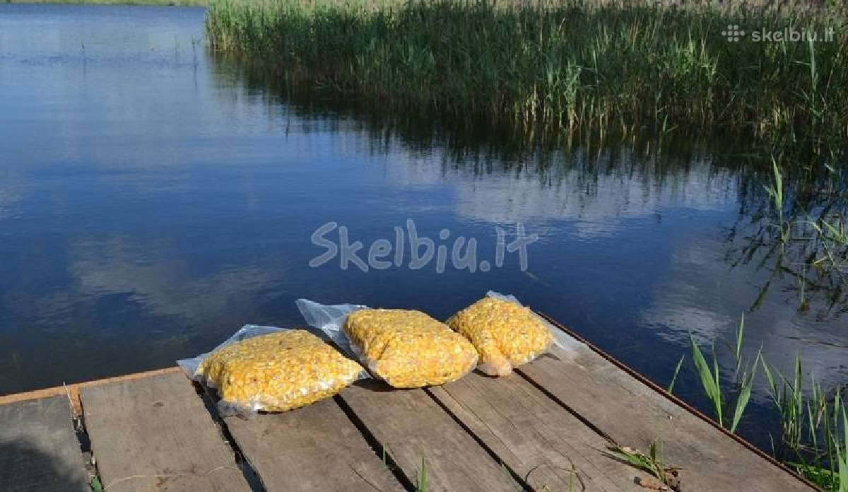Šutinti kukurūzai - nuotraukos Nr. 2