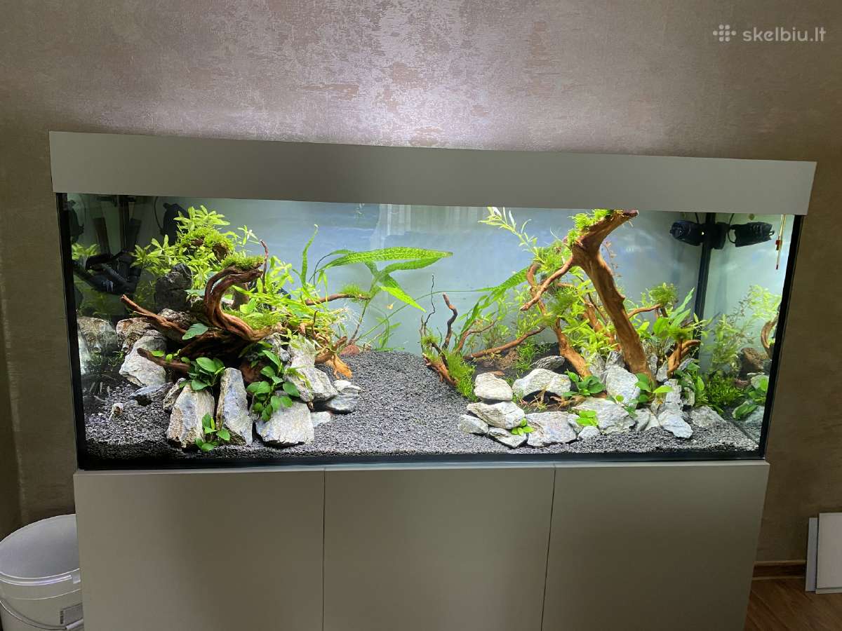 Akvariumai, spintelės, dangčiai pagal užsakymą - nuotraukos Nr. 5
