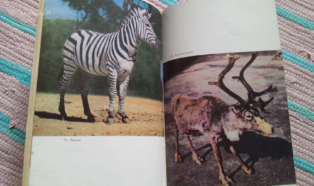 "Pasaulio Žvėrys" 1973m.ivanauskas Tadas - nuotraukos Nr. 4