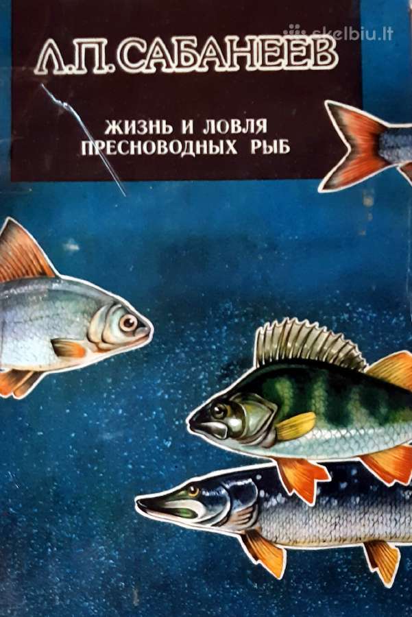 L.sabanejevas (rusų k.)