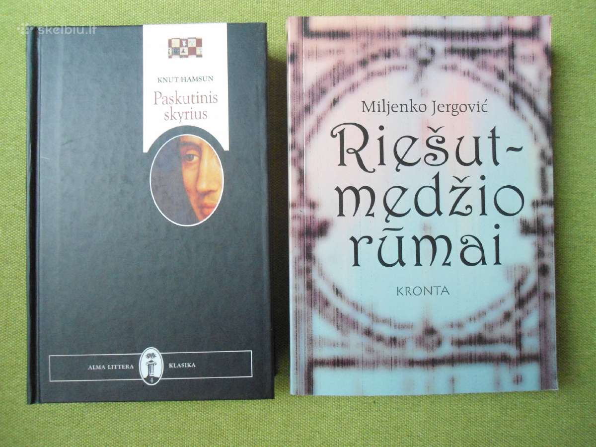 Grožinė literatūra - nuotraukos Nr. 4