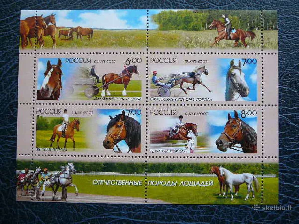 Rusija 2007 Arkliai Mnh r1441s