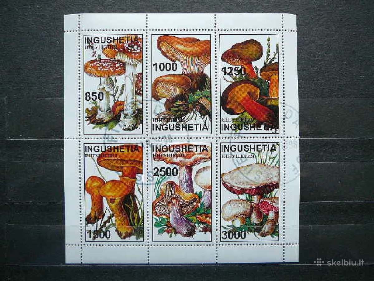 Grybai Ingusija (R) 1998 antsp. ing01a