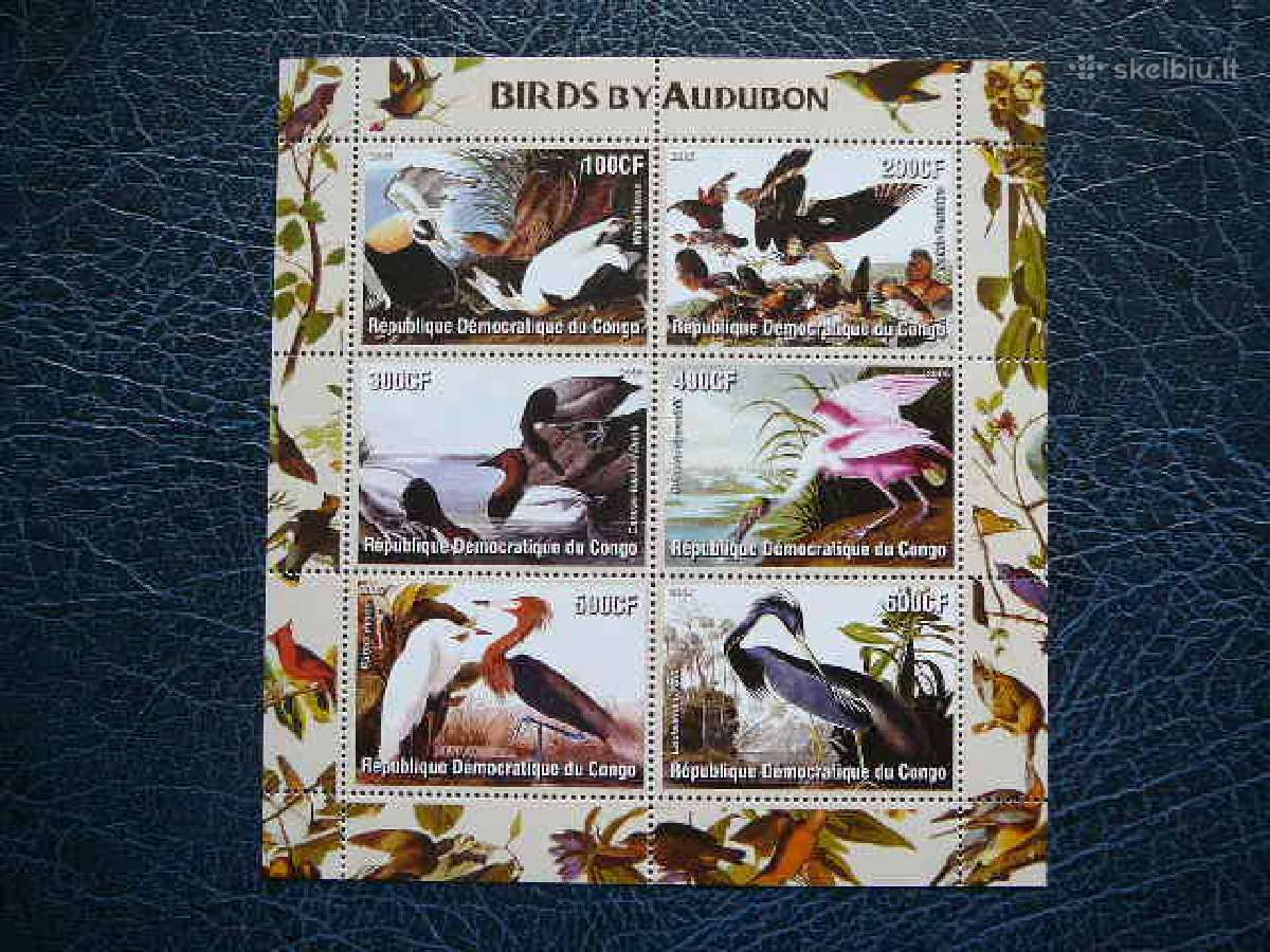 Pauksciai Audubon Kongas svarus kg286