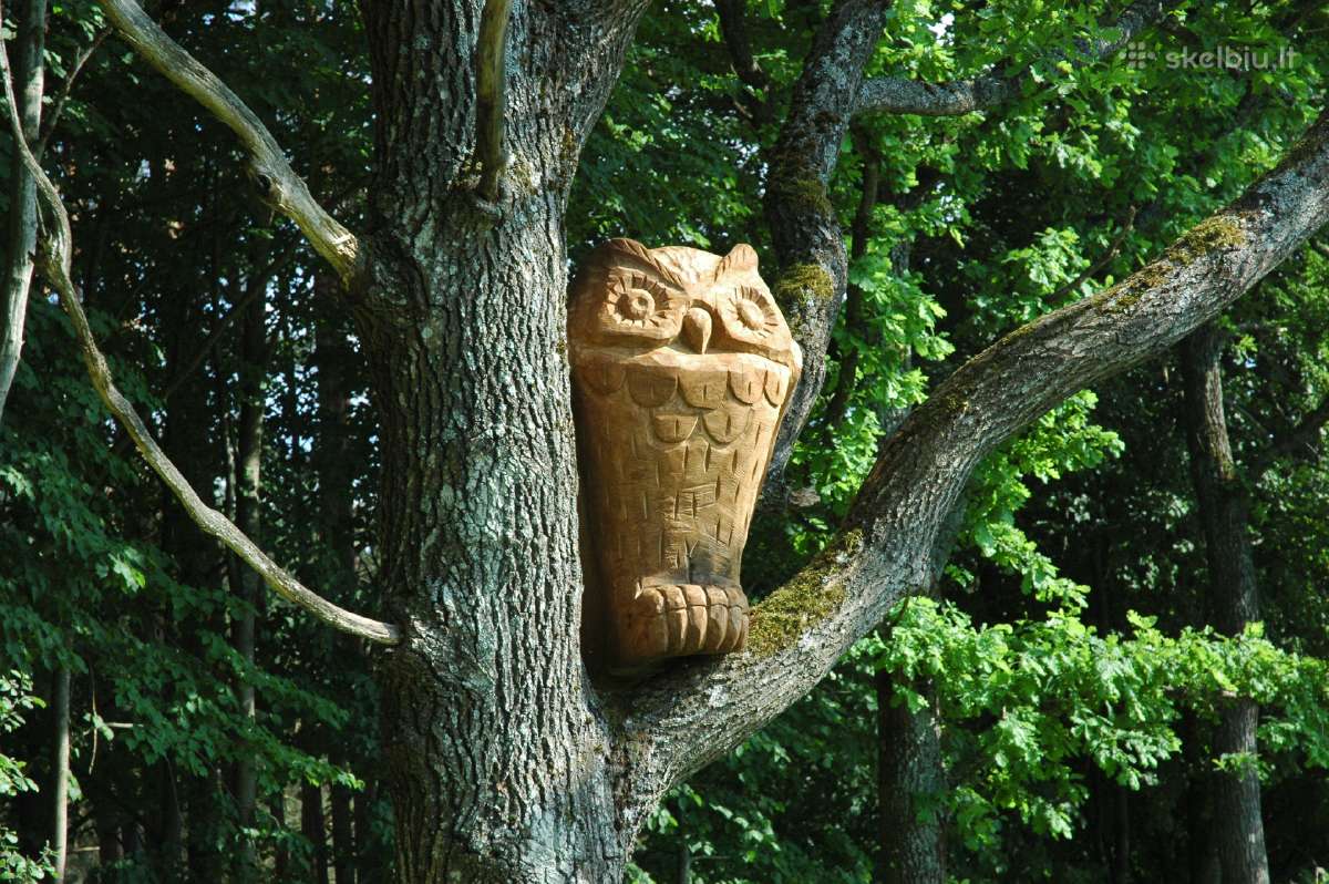Sodybos,rąstinių namelių,pirties nuoma miške. - nuotraukos Nr. 33