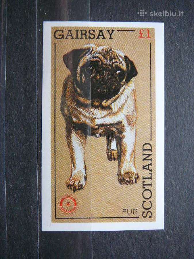 Sunys Skotija svarus sk528b