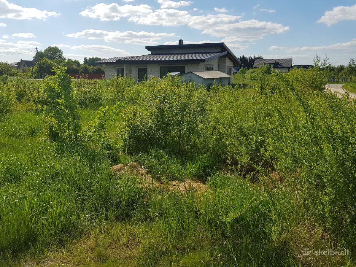 Aukštos žolės pjovimas Šiauliai! - nuotraukos Nr. 6