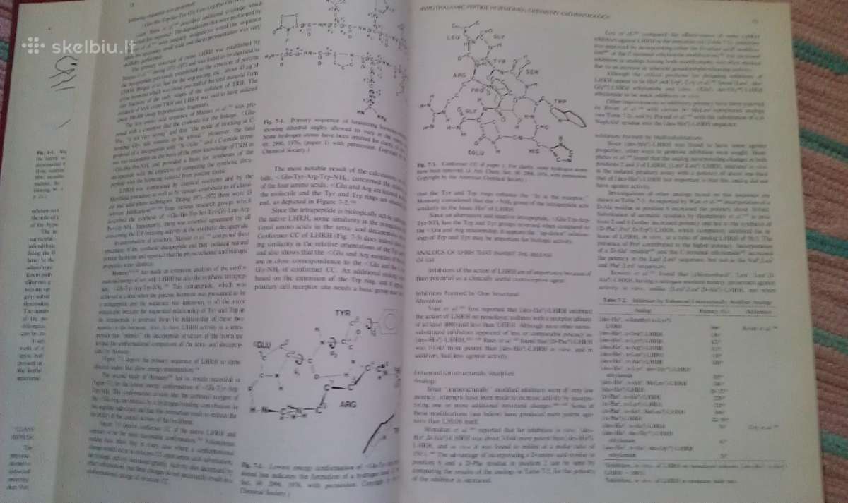 "Endocrinology" - nuotraukos Nr. 4
