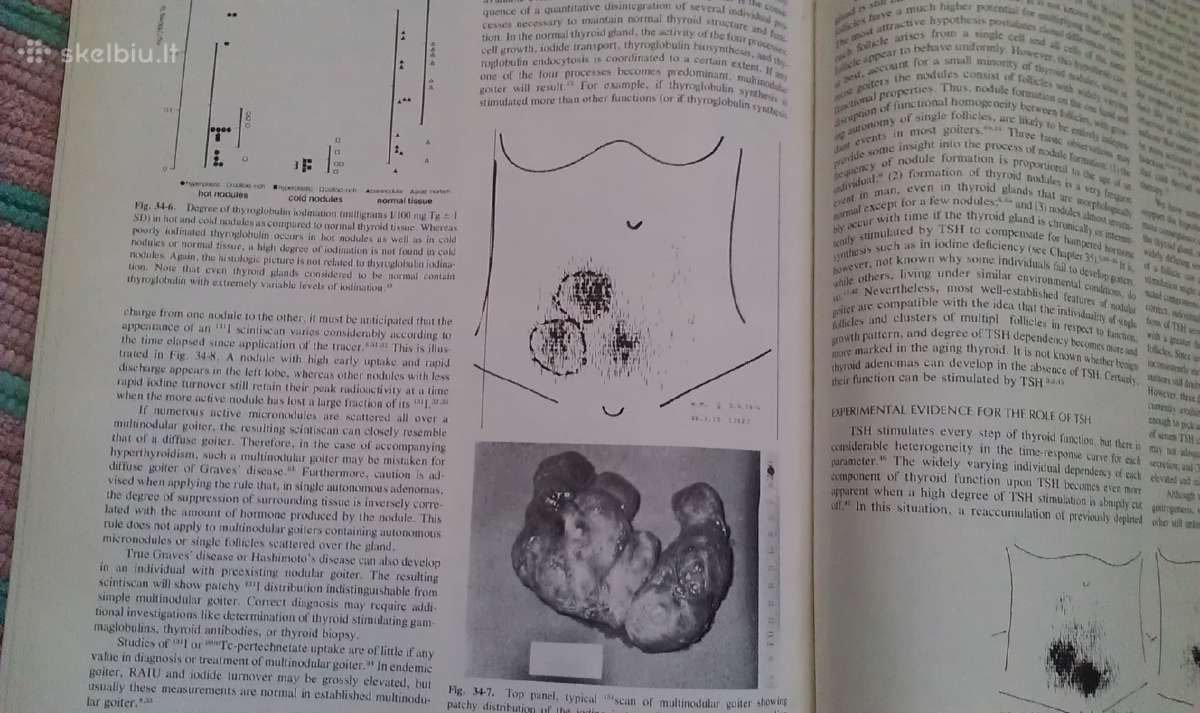 "Endocrinology" - nuotraukos Nr. 5