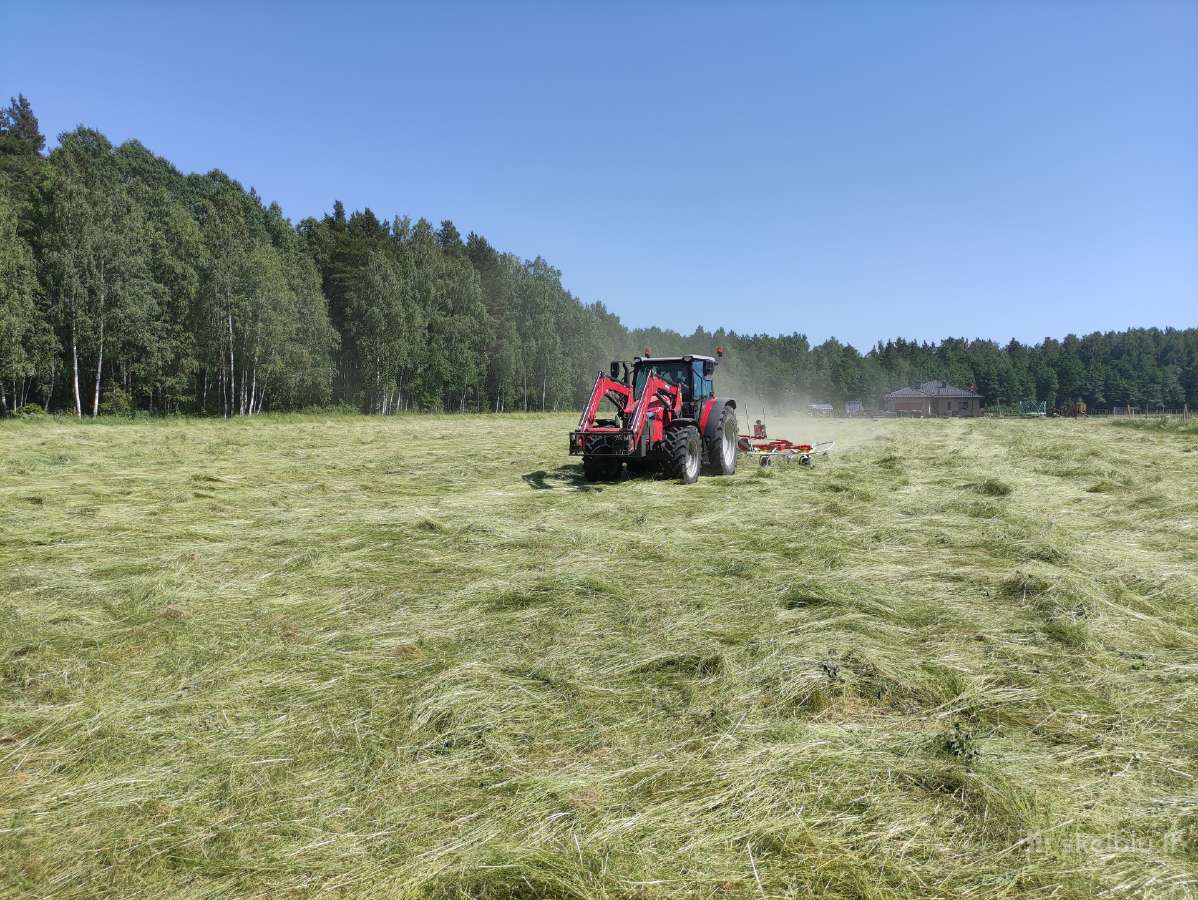 Agro paslaugos / Žolės pjovimas / Šienavimas - nuotraukos Nr. 3