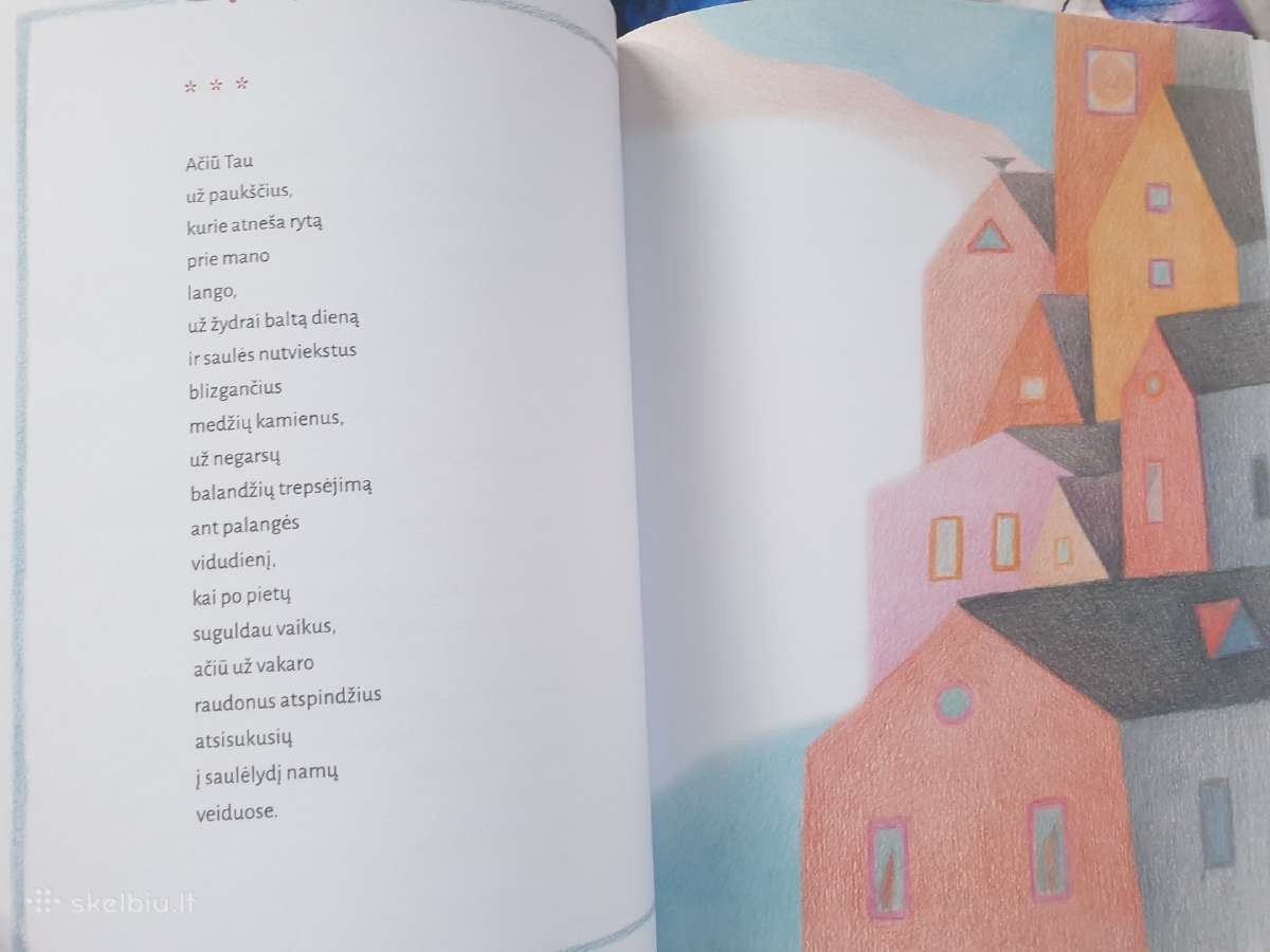 Knyga Tik ateinantys žodžiai - nuotraukos Nr. 6