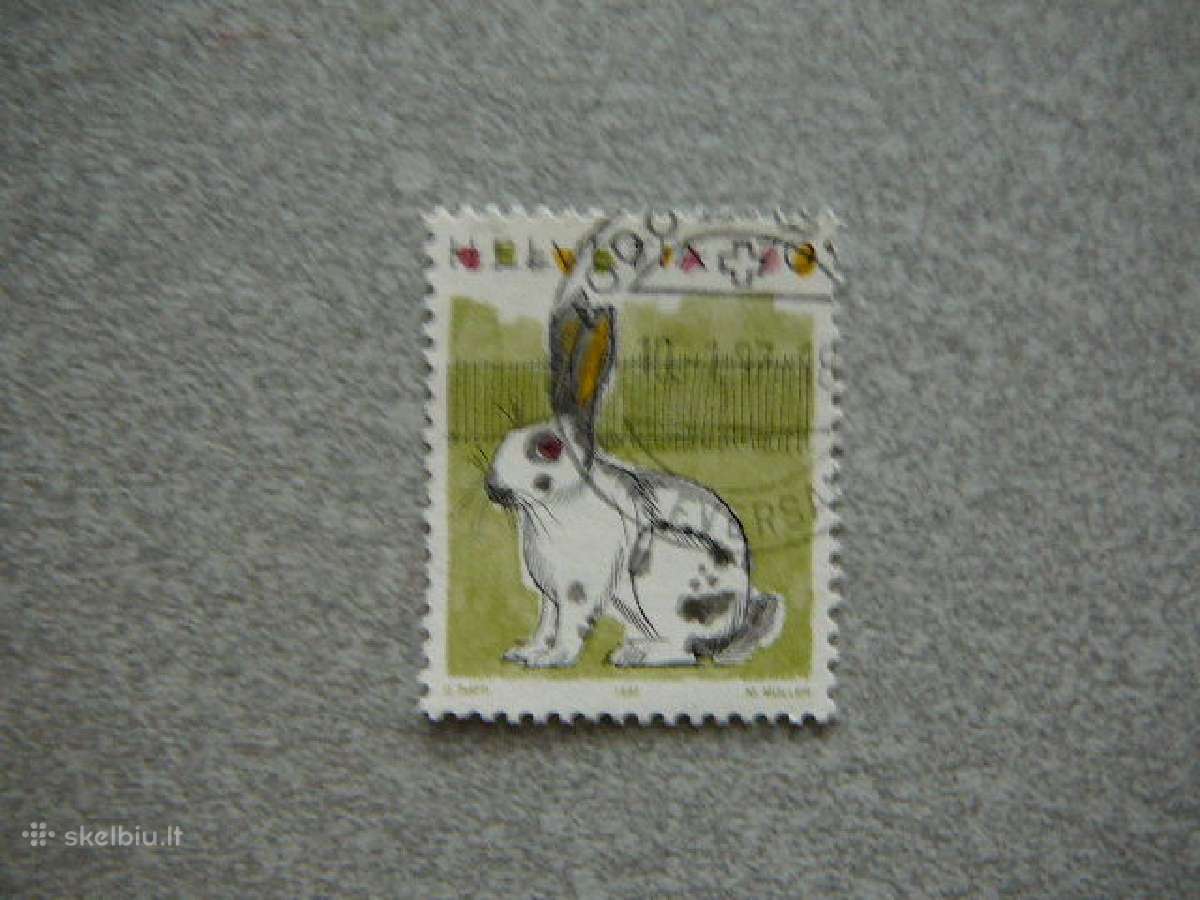 Kiskiai Sveicarija antsp. svj1436