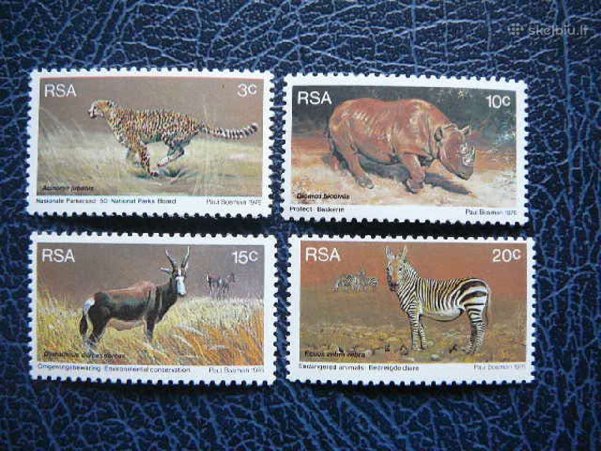 Kates laukines Raganosiai Pietu Afrikos R. rsa500