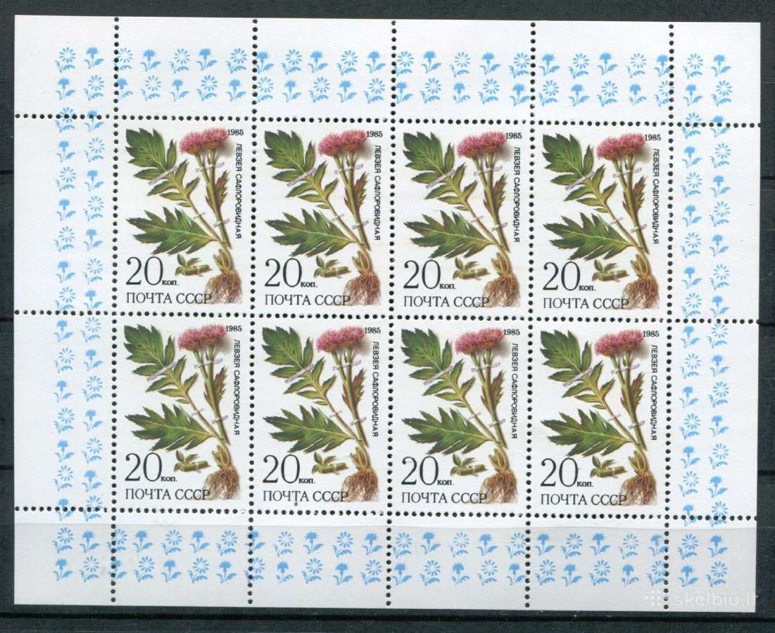 Ssr 1985 m. Gele, lapelis svarus