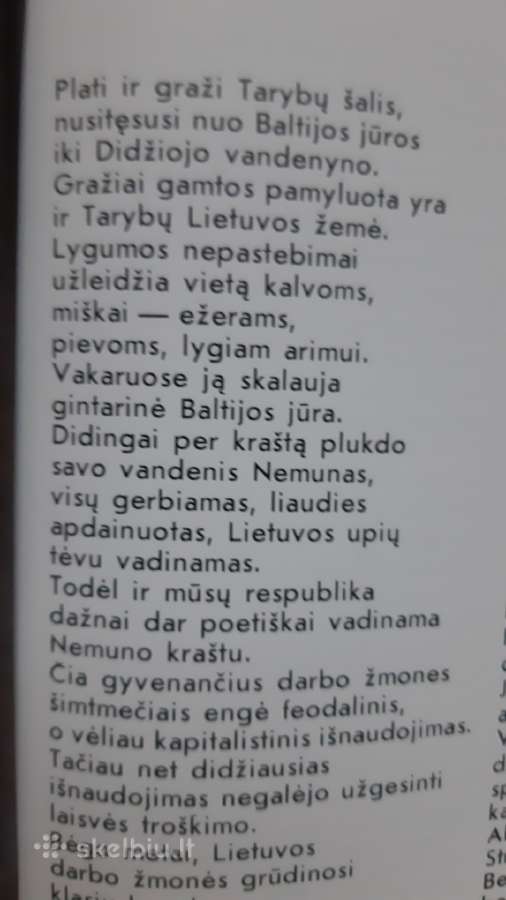Draugystė - nuotraukos Nr. 2