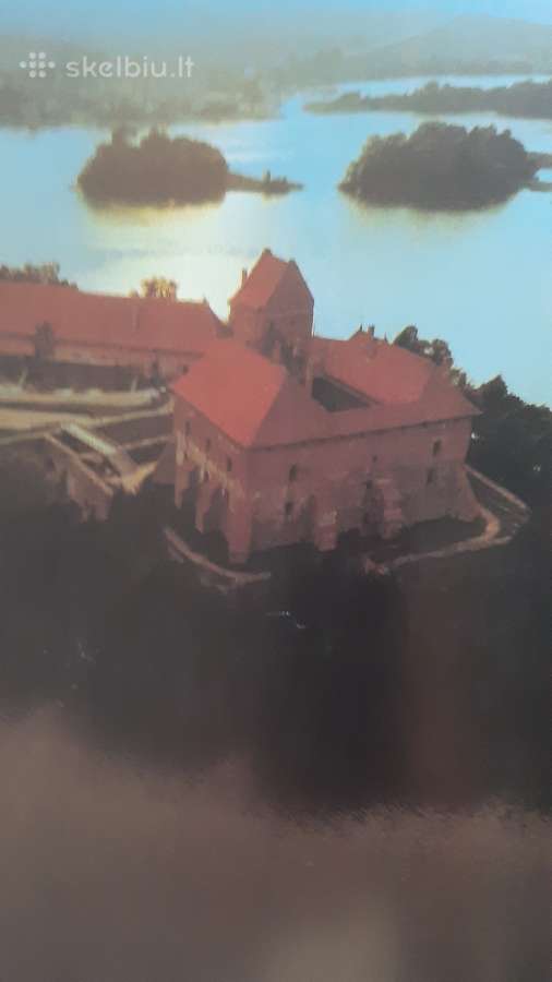 Draugystė - nuotraukos Nr. 5
