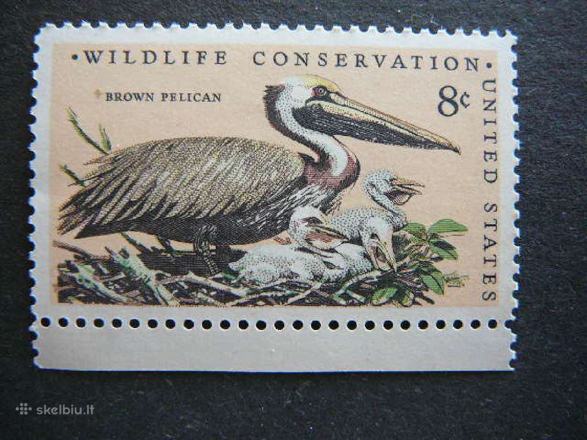 Pauksciai Pelikanai JAV Mnh uss1081