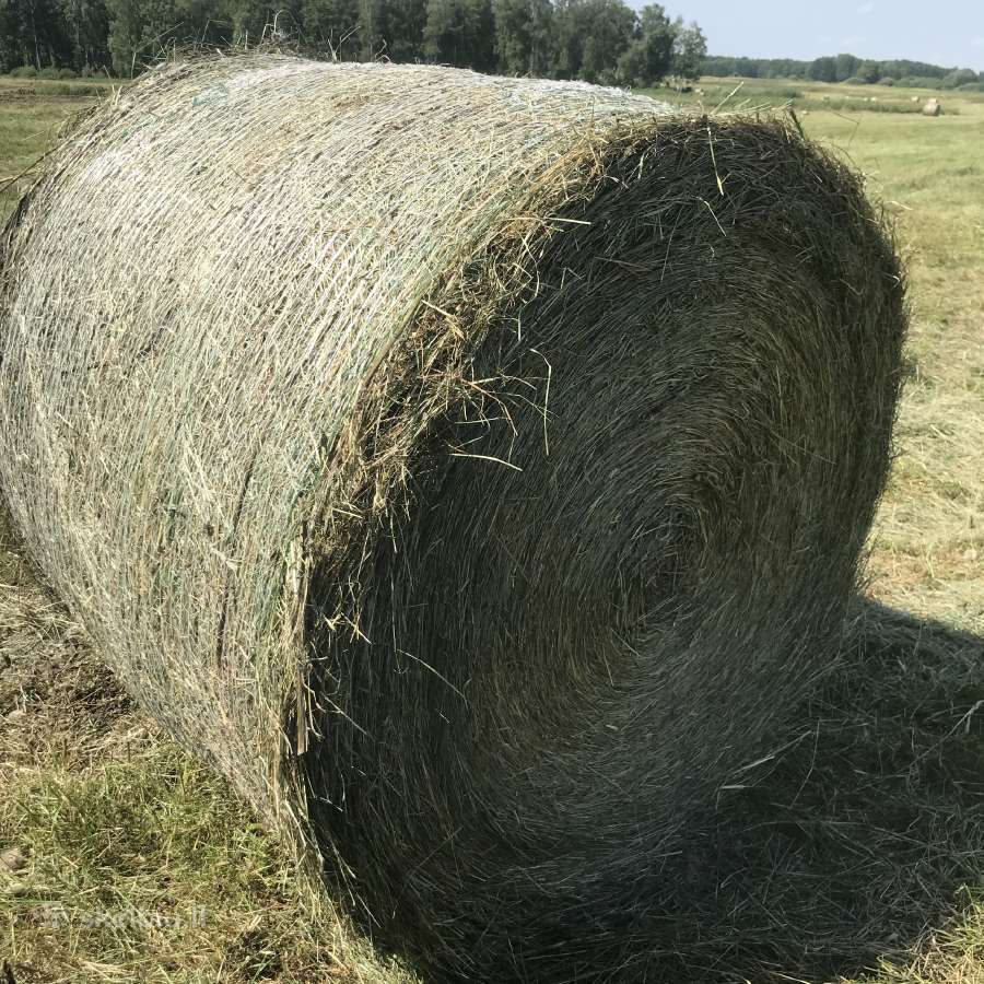 Šienas rulonuose - nuotraukos Nr. 2
