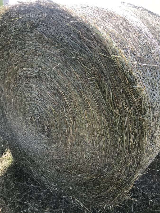 Šienas rulonuose - nuotraukos Nr. 3