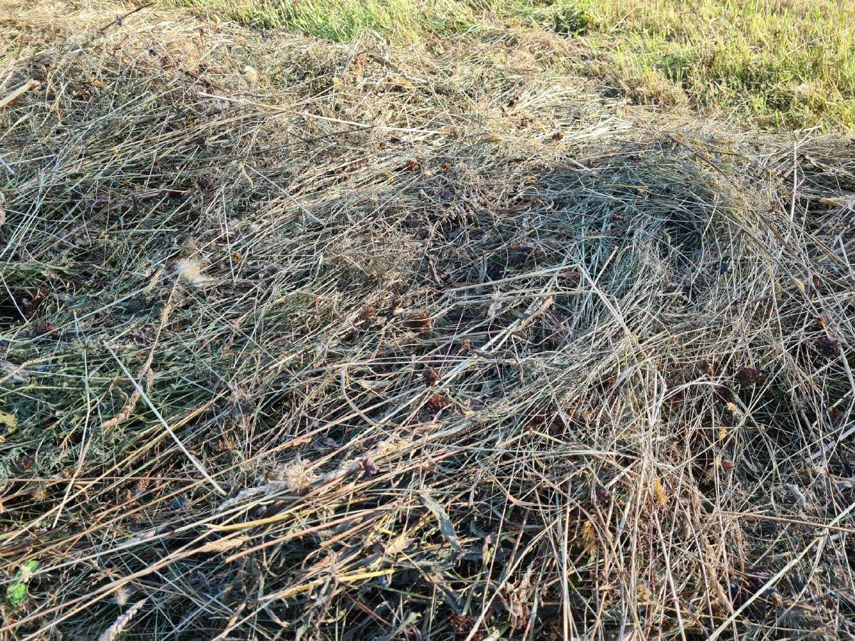 Ekologiškas šienas rulonais 20€. - nuotraukos Nr. 2