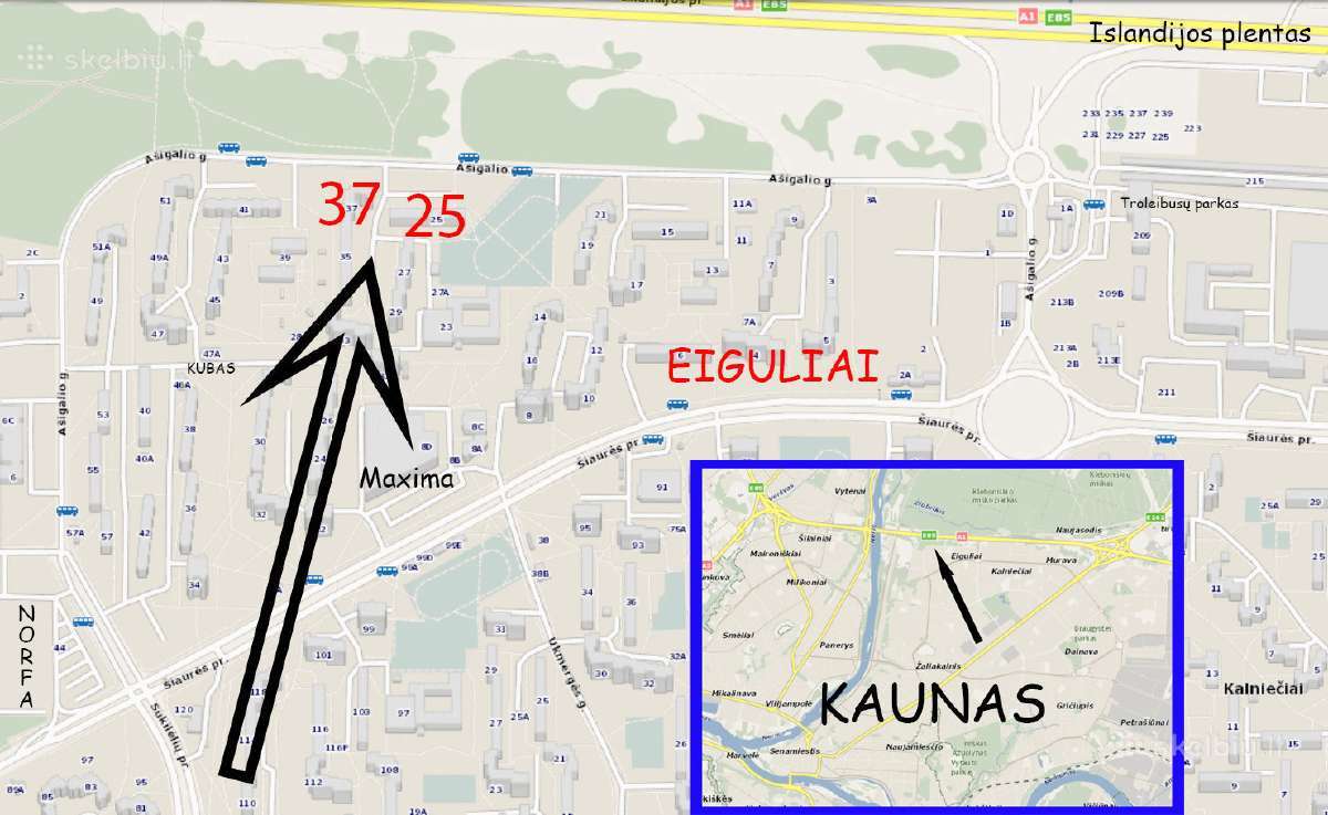 220v jungiklis su judesio davikliu - nuotraukos Nr. 5
