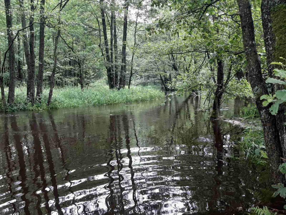 Sodybos nuoma prie Gaujos upės. Baidarių nuoma. - nuotraukos Nr. 28