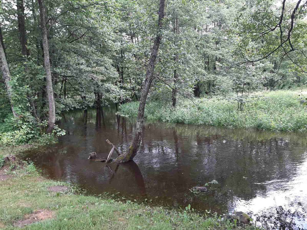 Sodybos nuoma prie Gaujos upės. Baidarių nuoma. - nuotraukos Nr. 29