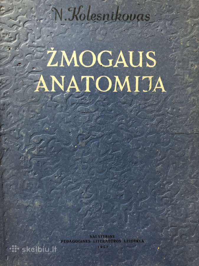 Žmogaus anatomija