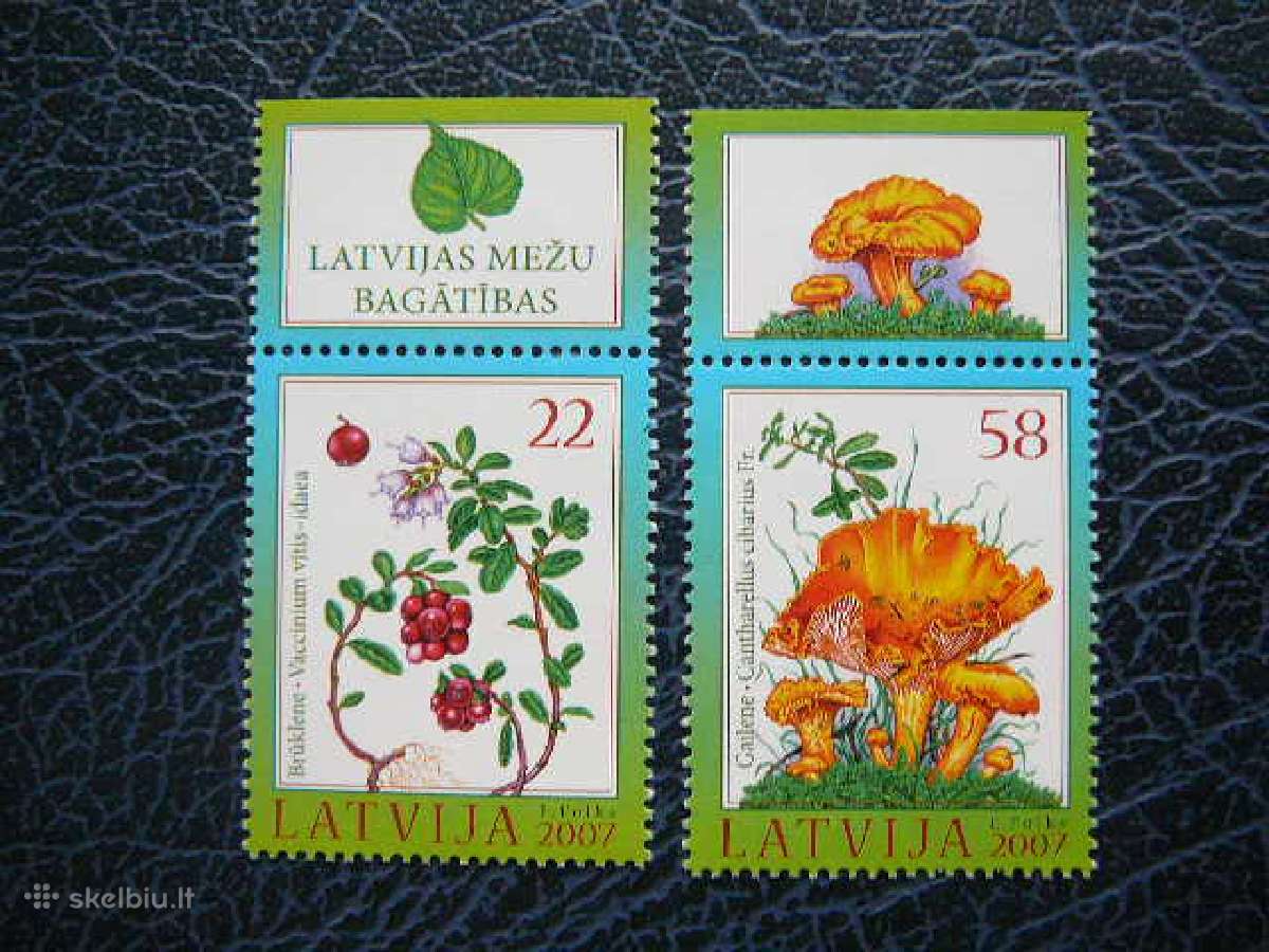 Grybai Uogos Latvija 2007 Mnh llt707