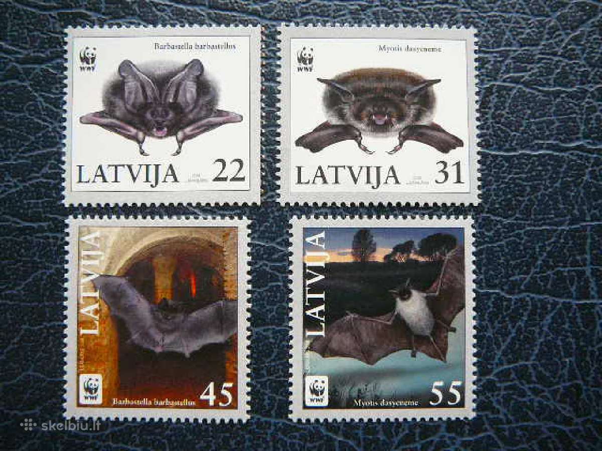 Siksnosparniai Latvija 2008 Mnh llt727