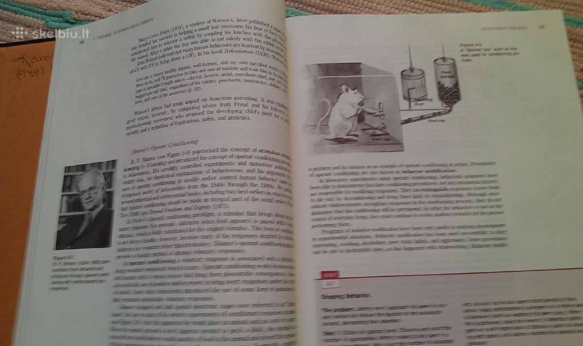 Human Development: A Life-span Approach - nuotraukos Nr. 6