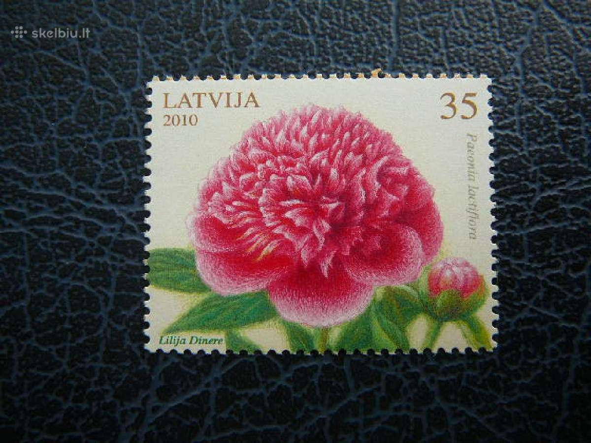 Geles Latvija 2010 Mnh llt782