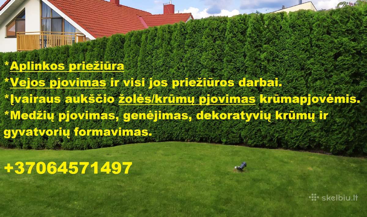 Aplinkos priežiūra ir teritorijų tvarkymas - nuotraukos Nr. 6