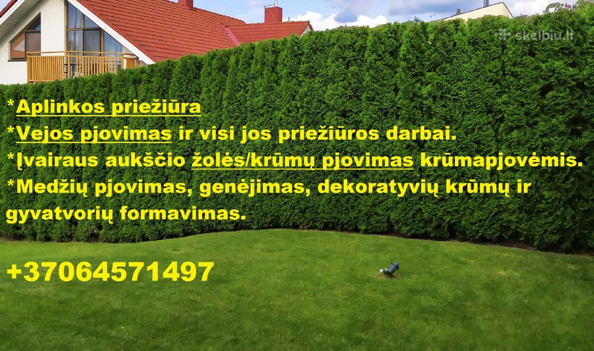 Aplinkos priežiūra ir teritorijų tvarkymas - nuotraukos Nr. 16