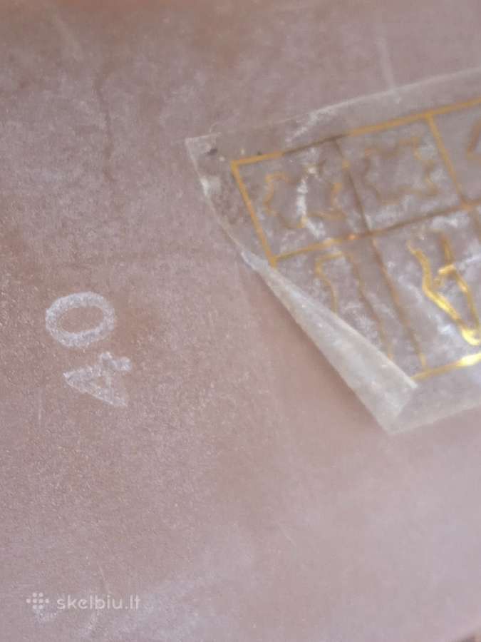 Reta: bosutes iz odos su daug spygliu is JAV - nuotraukos Nr. 11