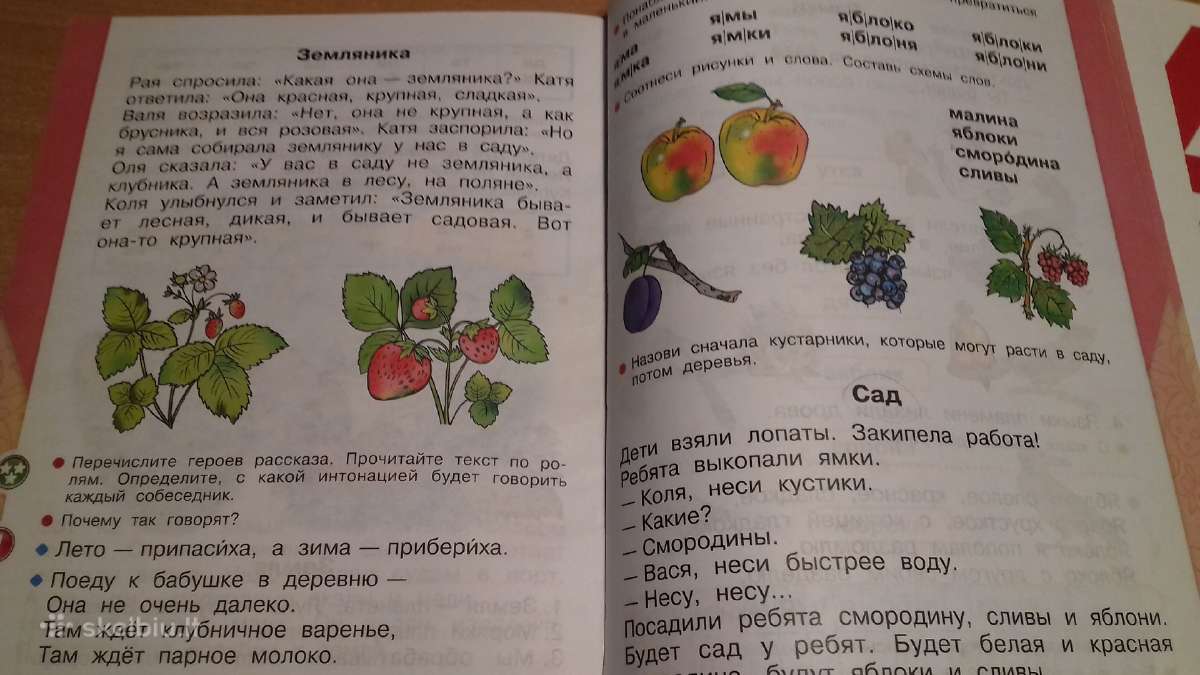 Knyga.(azbuka) 1klase .1dalis ir 2 dalis. - nuotraukos Nr. 5