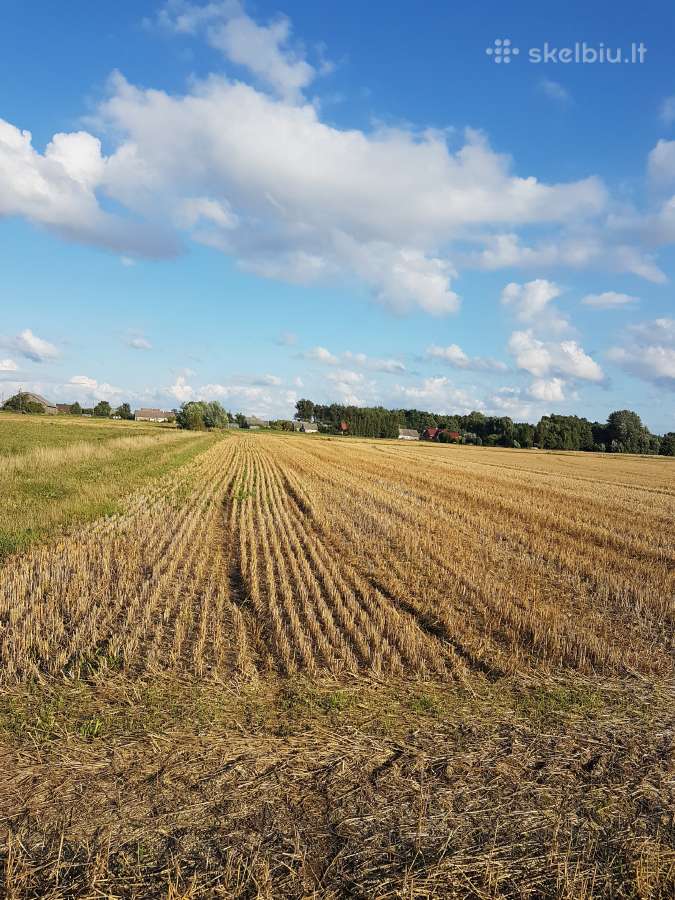 1.12 ha žėmės sklypas Karalių k., Vilkaviškio r.