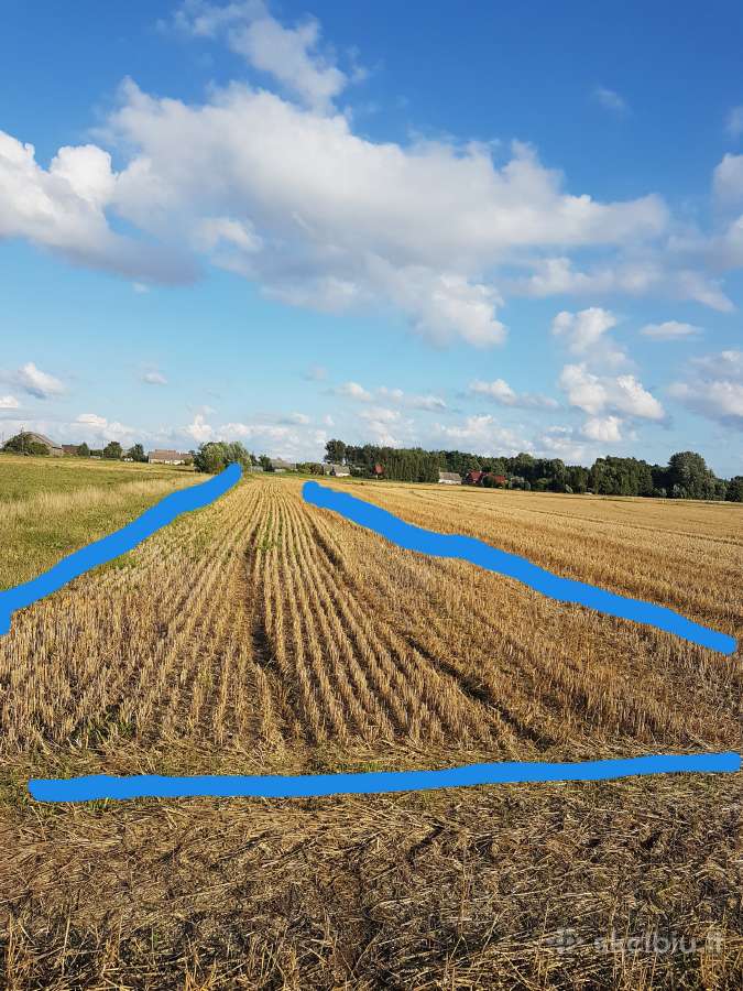 1.12 ha žėmės sklypas Karalių k., Vilkaviškio r. - nuotraukos Nr. 3