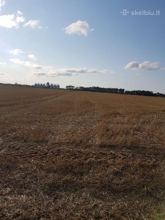 1.12 ha žėmės sklypas Karalių k., Vilkaviškio r. - nuotraukos Nr. 4