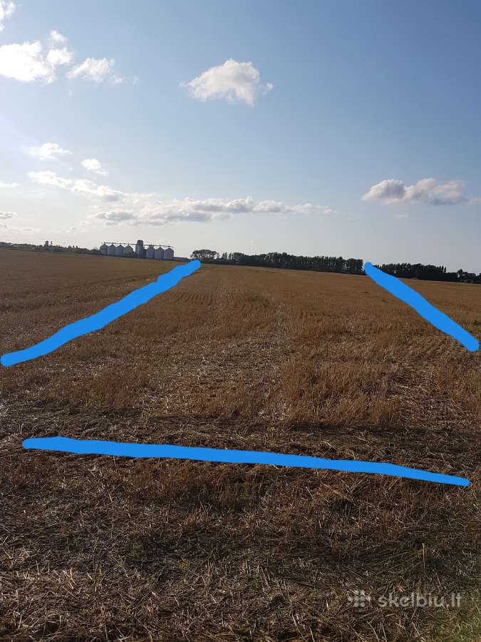 1.12 ha žėmės sklypas Karalių k., Vilkaviškio r. - nuotraukos Nr. 5