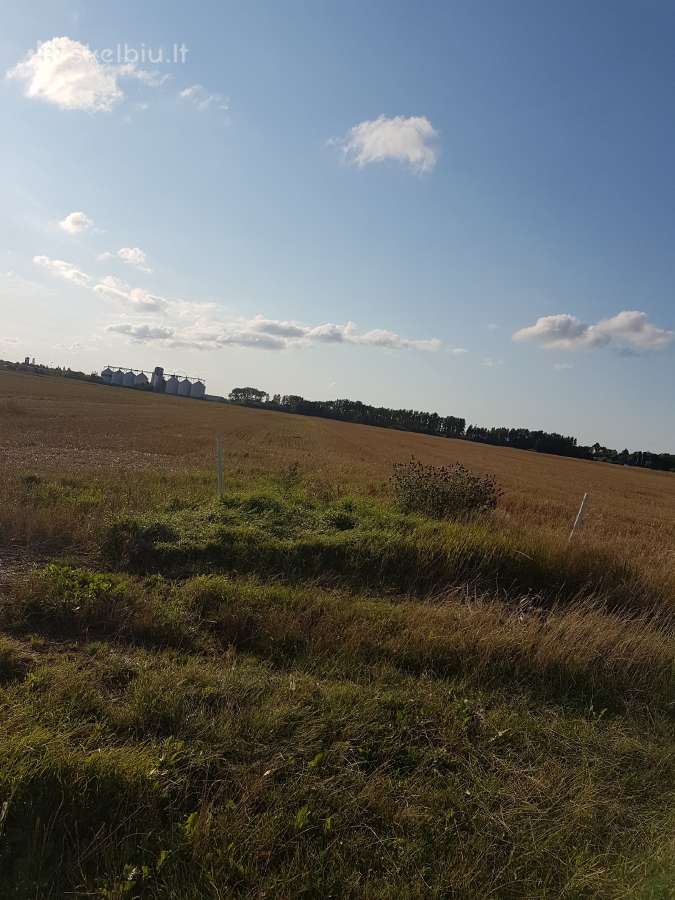 1.12 ha žėmės sklypas Karalių k., Vilkaviškio r. - nuotraukos Nr. 6