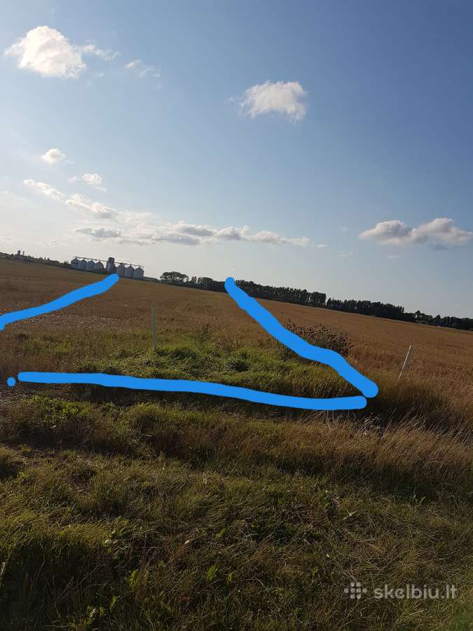 1.12 ha žėmės sklypas Karalių k., Vilkaviškio r. - nuotraukos Nr. 7