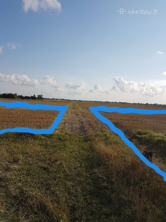 1.12 ha žėmės sklypas Karalių k., Vilkaviškio r. - nuotraukos Nr. 8