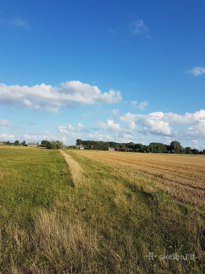 1.12 ha žėmės sklypas Karalių k., Vilkaviškio r. - nuotraukos Nr. 9